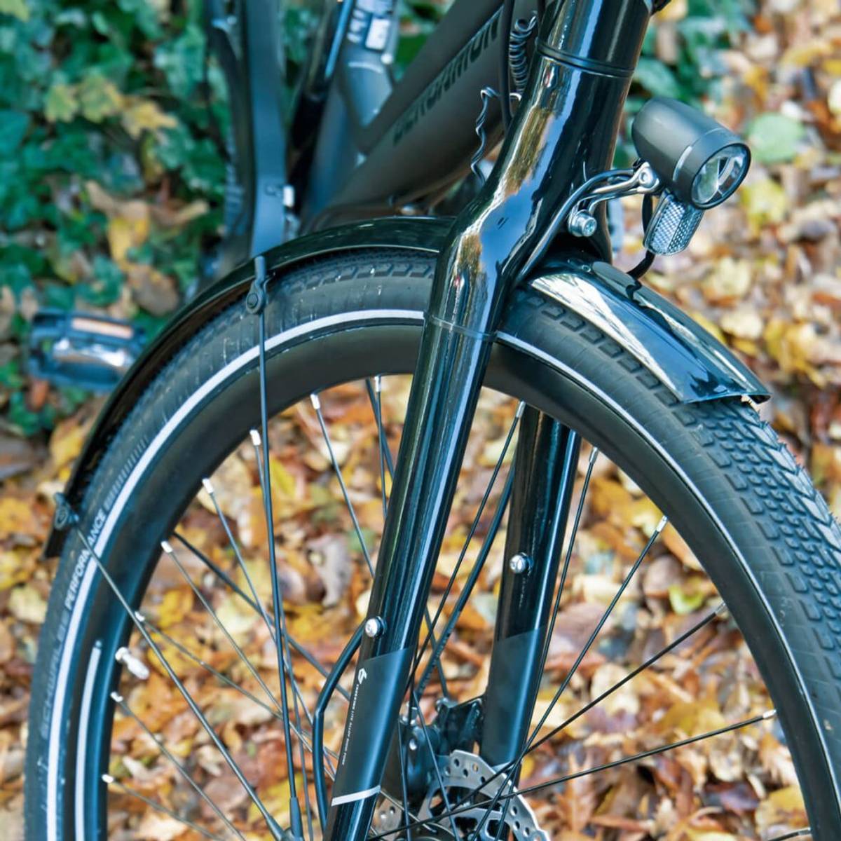 SKS Mudguard Bluemels 28